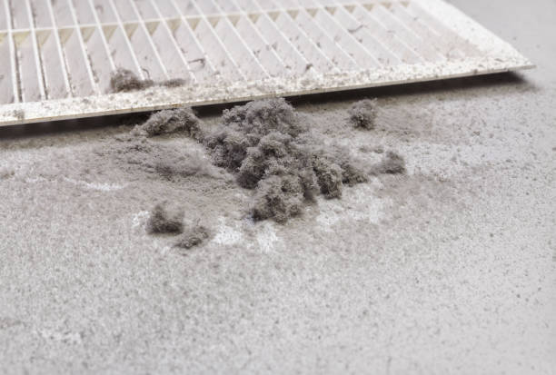 Best HVAC System Cleaning  in Cambridge, IL