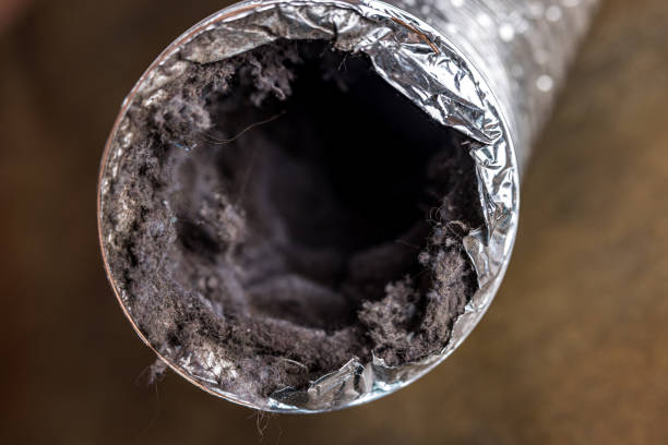 Best Professional Duct Cleaning Services  in Cambridge, IL