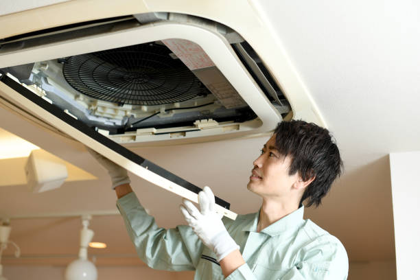Best Home Air Vent Cleaning  in Cambridge, IL