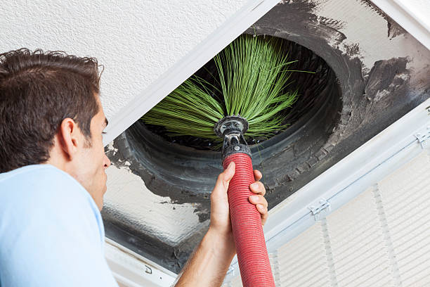Best Air Duct Cleaning Company Near Me  in Cambridge, IL